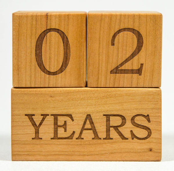 Milestone Blocks - Week, Month, Year,  & Grade - Handmade - Personalized