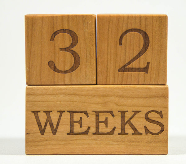 Milestone Blocks - Week, Month, Year,  & Grade - Handmade - Personalized