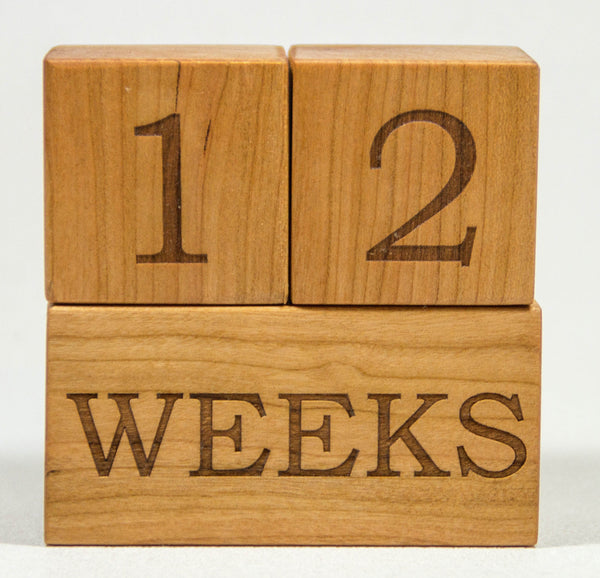 Milestone Blocks - Week, Month, Year,  & Grade - Handmade - Personalized
