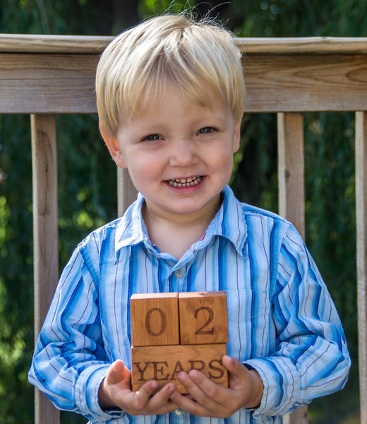 Milestone Blocks - Week, Month, Year,  & Grade - Handmade - Personalized